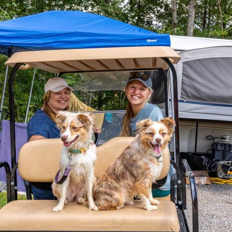 friends and dogs on a golf cart