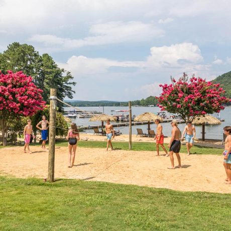 people playing volleyball